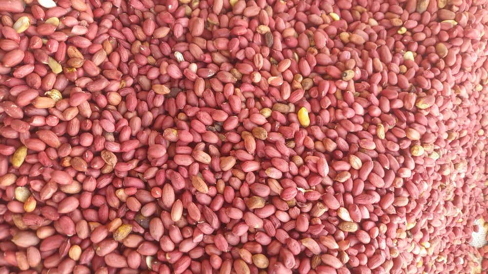 Groundnuts
