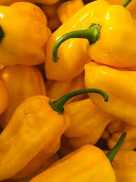 Pilipili Mwendokasi/ Habanero