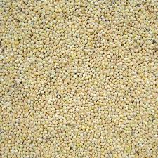 White Millet