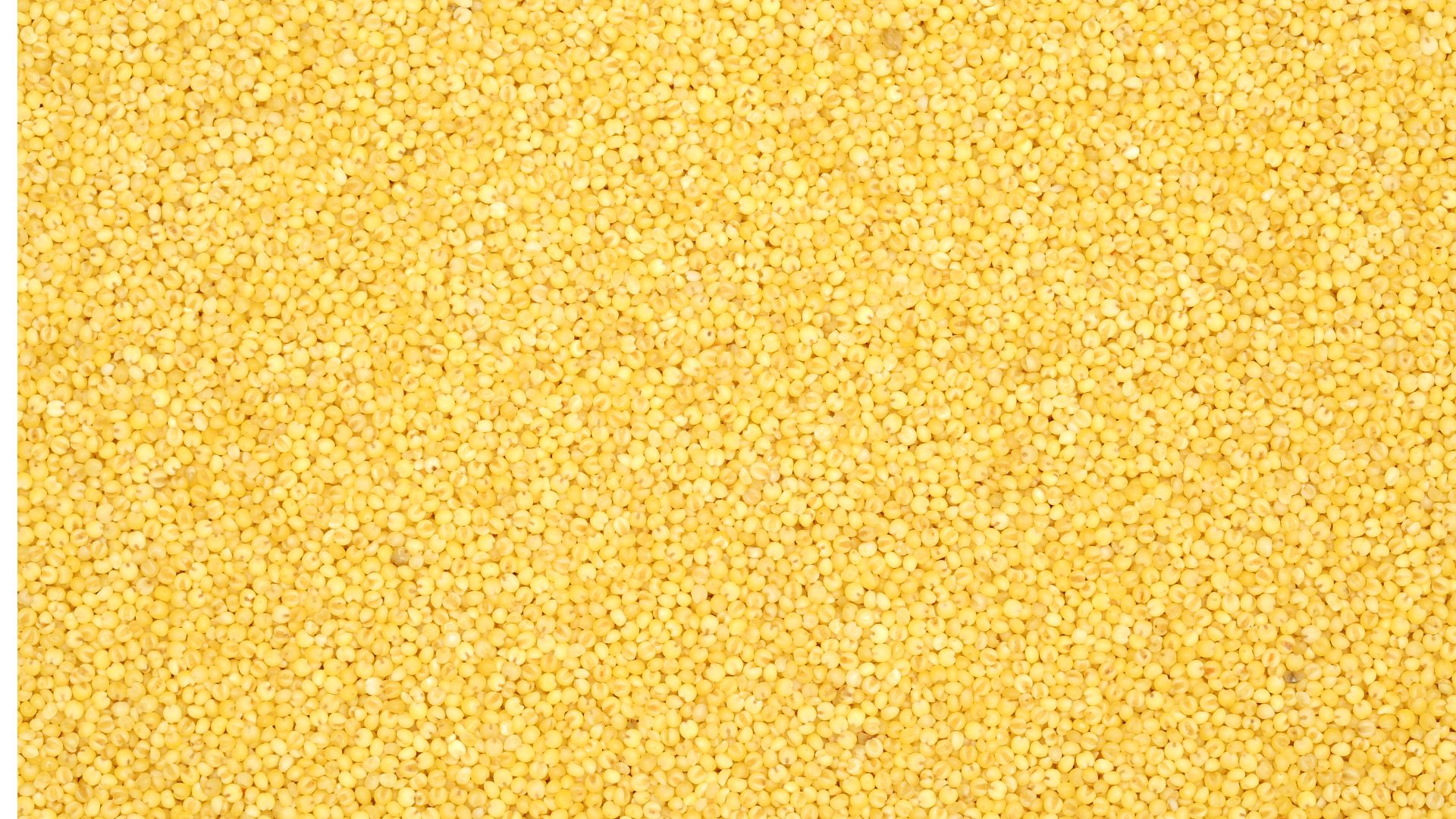 White Millet