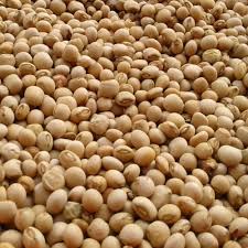 Cowpeas
