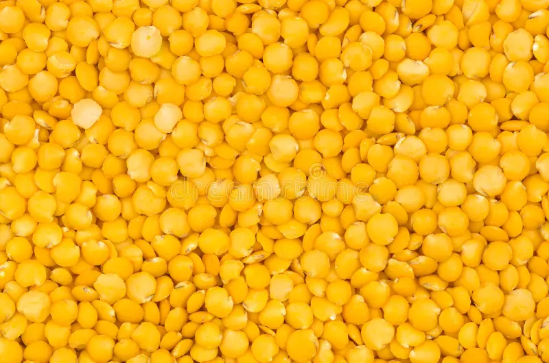 Yellow lentils