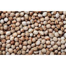 Pigeon peas